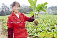 2016���˼۸�����Ԥ�⣺�����˼۸�򽫵Ϳ�����