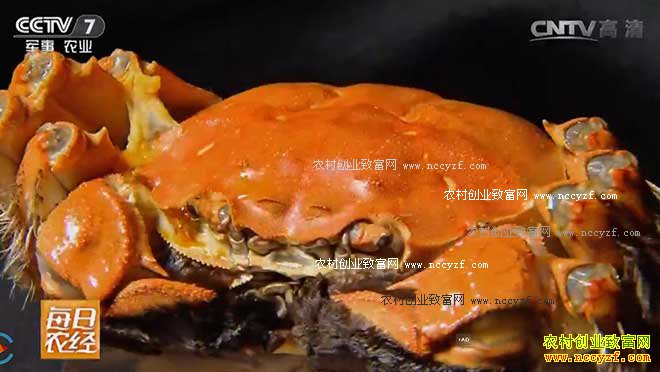 [ÿ��ũ��]���з���ڽ�����