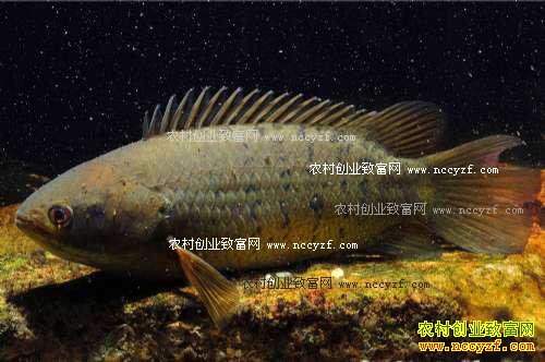 [�Ƽ�Է]����·�������� ������ֳ������Ƶ