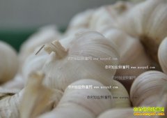 2016�갲�մ���۸����� �������۸��ٴ��߸�