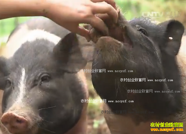 [�Ƽ�Է]�Ժ��ҵ���