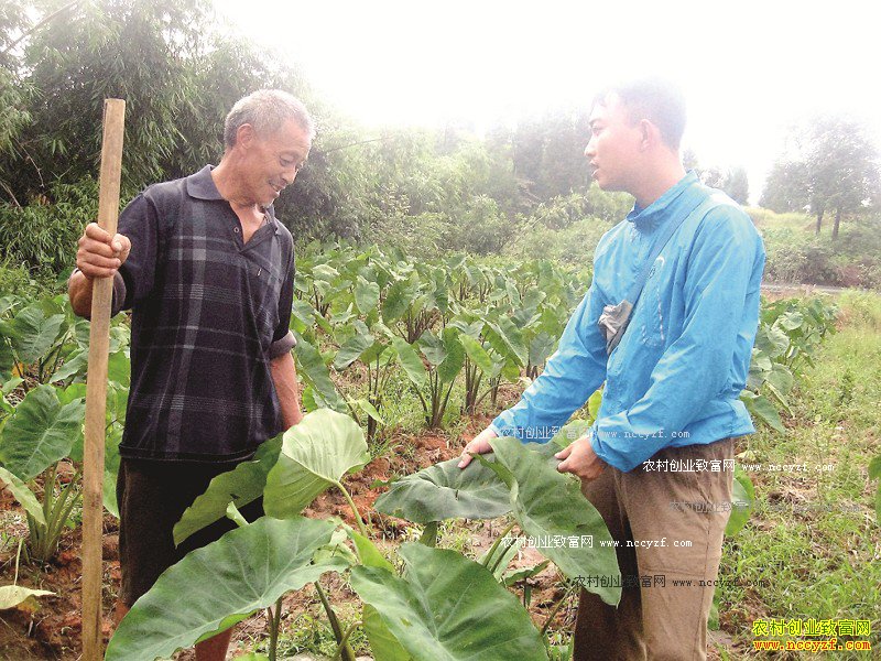 ��ͷ�߲�������༼��Ҫ��