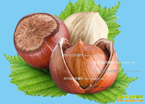 2016������۸����飺����ӱ������г��۸��ȶ�