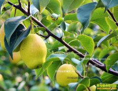 ����׬Ǯ�� �����ҵδ����·���Ķ�