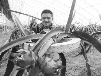 ɽ��������ѧ�ɴ�����ֲ������ĶЧ���5��Ԫ