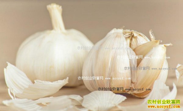 2017���ִ���׬Ǯ�� ����1����׬3000Ԫ,������ܿ�