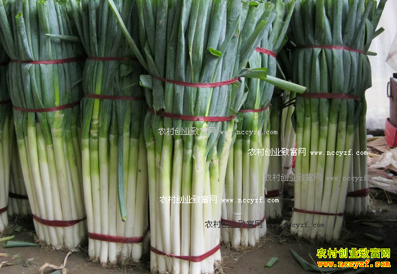 2016���м۸����� �＾������м۸�����ն