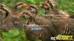 [�¸���]ɽ�����ض�������ֳ�������ʵ�ֲƸ���Ϯ