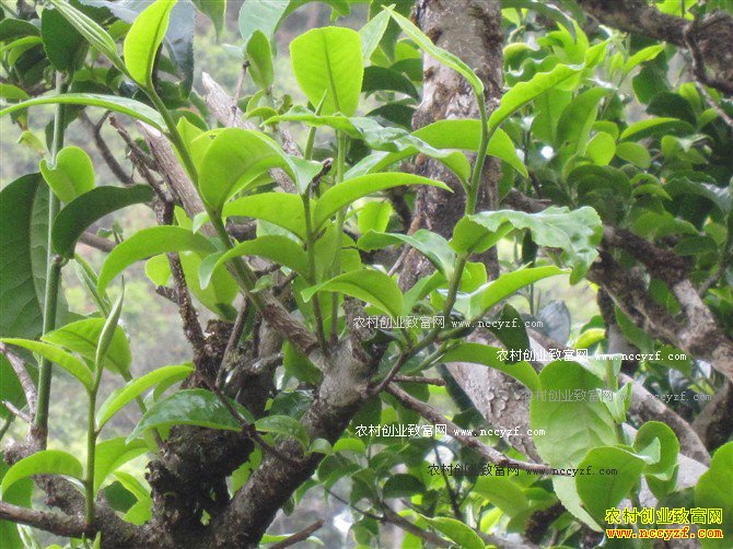 [ÿ��ũ��]���Ϸ���Ų���Ҷ�Ƹ�