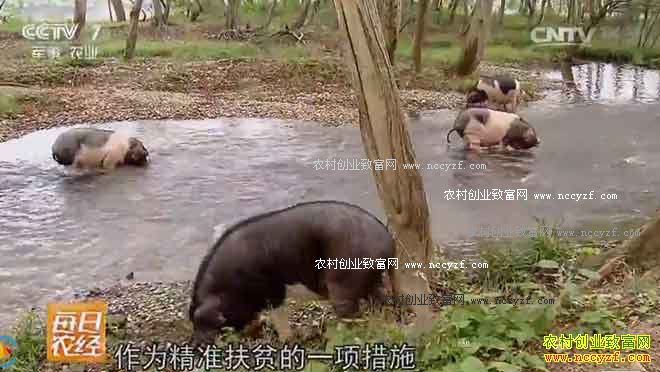 [ÿ��ũ��]���ϻ����������� 20161103