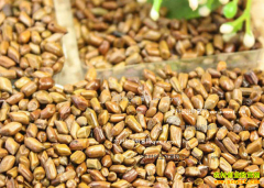 2016������Ӽ۸����飺�����������������������¬��