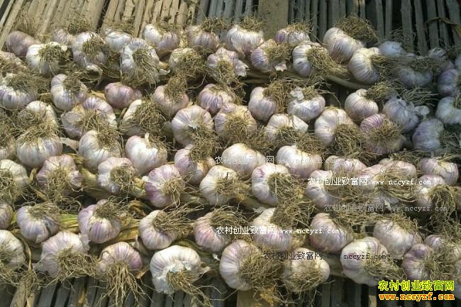 2016�����۸����飺����۸��� ��Ӧ����������