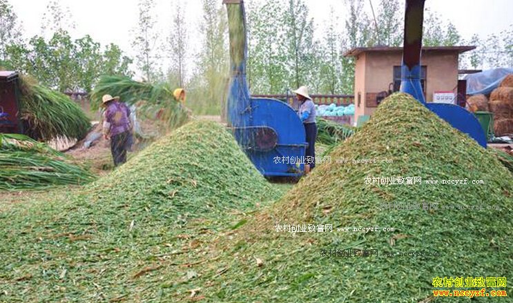 �ӱ��������ǡ�������������ʡ�¶�������