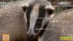 [ÿ��ũ��]�亦Ϊ����� �˹���ֳ��Ӻ�׬Ǯ