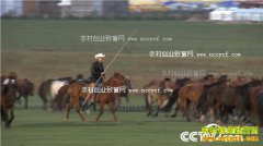 [�¸���]���ɹŸ߷������������������¸�����(��)