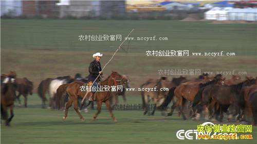 [�¸���]���ɹŸ߷������������������¸�����(��)