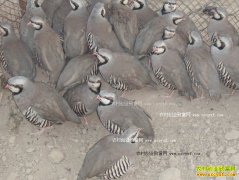 ɽ�����ض����������һ�����400��Ԫ