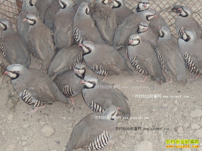 ɽ�����ض����������һ�����400��Ԫ