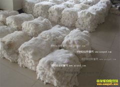 2017��̡�ü۸�����Ԥ�⣺̡��Ƥ�г��۸��������