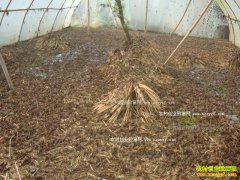 ������׬Ǯ�� ������������ҪͶ�ʶ���Ǯ