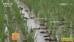 [ũ�����]������Ѽ���������������