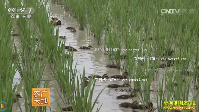 [ũ�����]������Ѽ��������������� 20161114