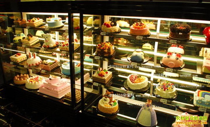 ���������ΰڷ���Ʒ�������˿�