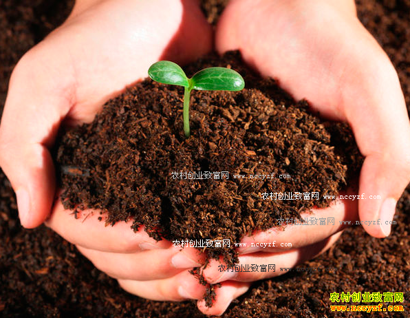 ���콭�򣺷�չ����ũҵ��ũ���¸�����Ŀ