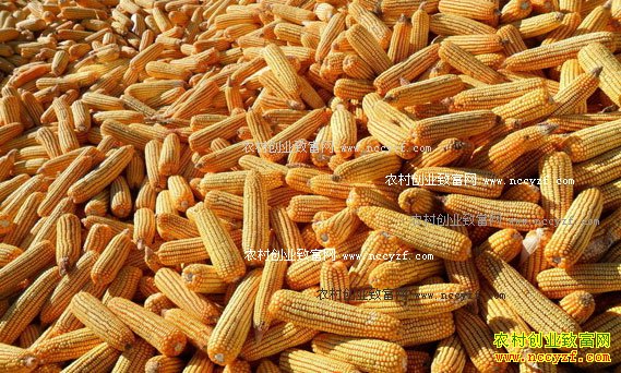 ���׼۸�����Ԥ�⣺��ʱ�������׼۸񲻻����