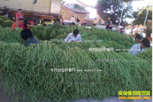 ���Ǽ۸��������� ���궹�ǲ�ҪäĿ������