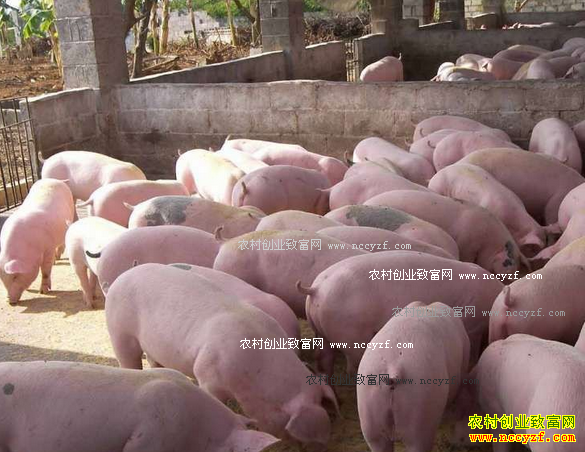 ���������´첿�ֵ���ÿͷ��������68Ԫ