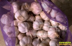 2016�����´���۸����飺����۸���һ�� ���ֱ�����