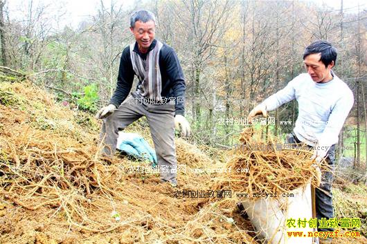 ������ʩ����ֲţϥ��ũ����ƶ�¸�����Ŀ