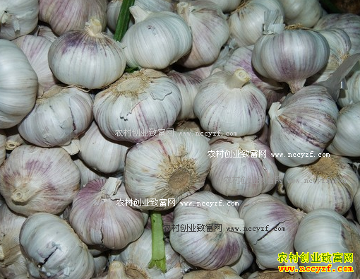 ������ݡ��������� ����۸����ƾ���