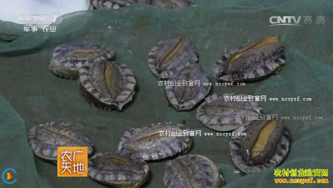 [ũ�����]�����̱����� 20161122