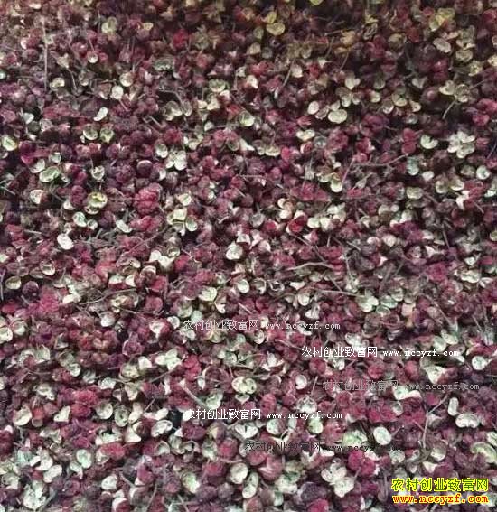 2016�껨����ֲҵ�������۸��������