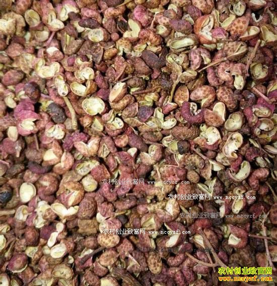 2016�껨����ֲҵ�������۸��������