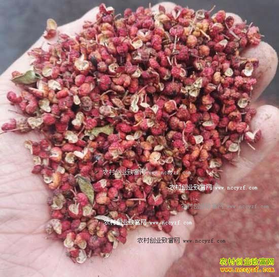 2016�껨����ֲҵ�������۸��������