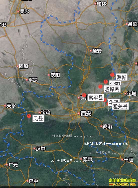 2016�껨����ֲҵ�������۸��������