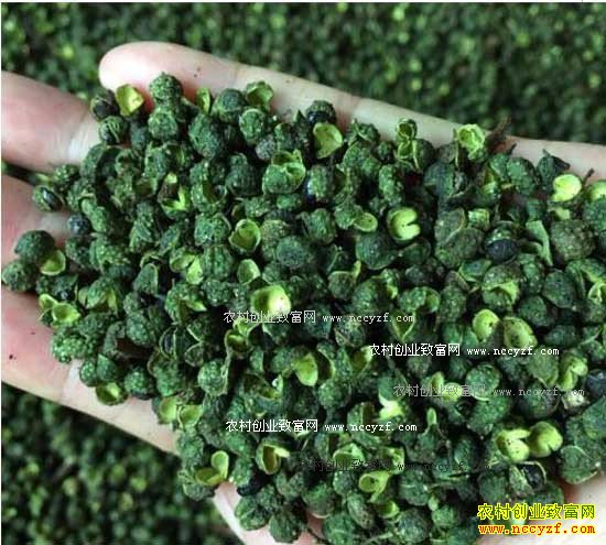 2016�껨����ֲҵ�������۸��������