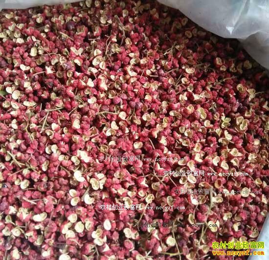 2016�껨����ֲҵ�������۸��������