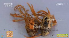 [ÿ��ũ��]С���ֳ�ݵ�׬Ǯ����