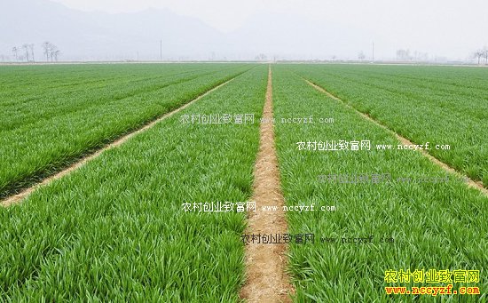 С���������������