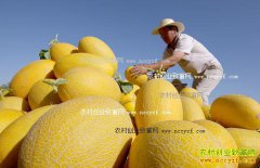 ����̨ǰ�к����Ź��200Ķ���ܹϷ���Ѱ��·