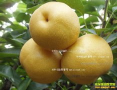 ��������3�����ˮ��������Ѱ��·