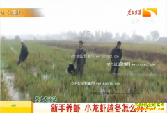 ¤��ũ��վ��������Ϻ С��Ϻ������ô����