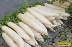 2016����ܲ��۸����飺���������� ���ܲ��۸񡰷��ǡ�