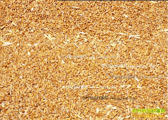 ����С��۸����飺С���г���ӭ��һ���ɹ�С�߷�