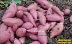 ��������Ǯһ�2017��2��7�����º����۸�����