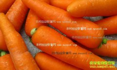 ���º��ܲ��۸����飺���ܲ��۸��ѱ�ȥ��